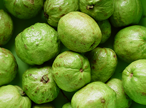 Pakistan Fresh Guava