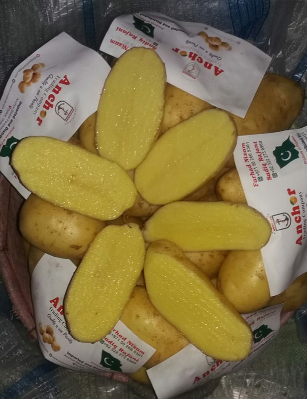Mozika long shape potatoes