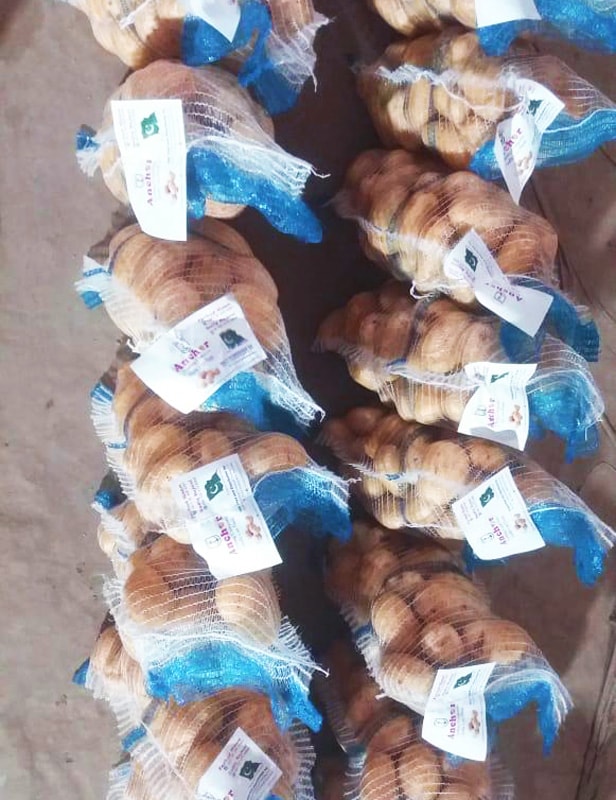 Mesh bag packaging for export potatoes