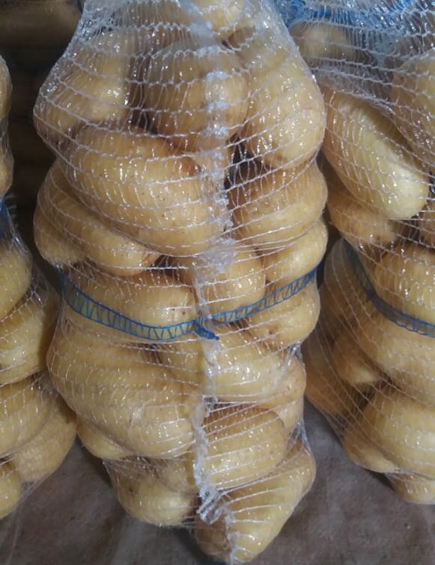 Container loading for export