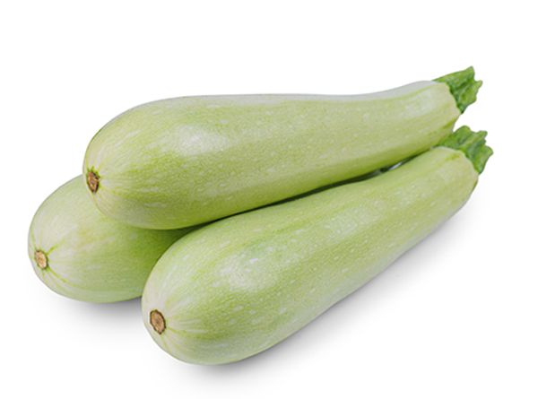 Pakistan Fresh Bottle Gourd