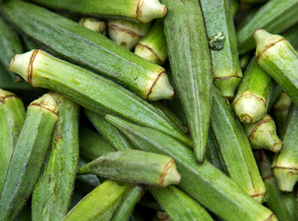 Pakistan Fresh Okra